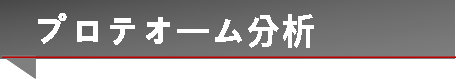 プロテオーム分析